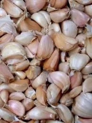 Garlic (Fresh & Dried)