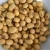 Import High Quality Dried Bulk Soybean Seeds Non-GMO Export Grade from Germany