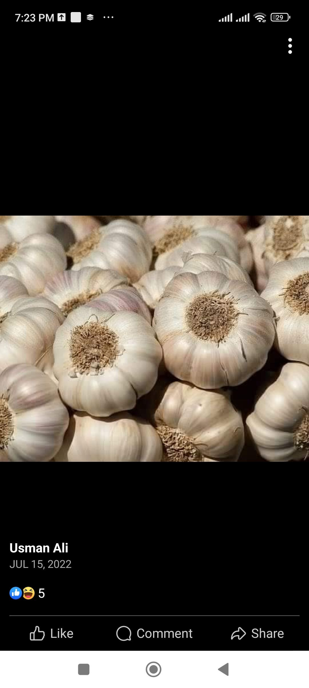 Buy G1 Garlic from Qureshi farms, Pakistan | Tradewheel.com