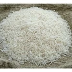 Basmati Rice Organic Bulk Rice
