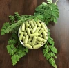 Moringa Oleifera Capsules -Size 00 , 600 mg active ingredient: