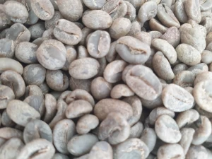 A Grade Organic Coffee Beans