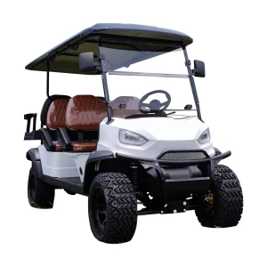 4 Wheel Lithium Battery Powered 2 Seater Electric Small Golf Cart For Sale