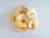 Import 100% dehydrated apple ring/granule dried fruit importers from China