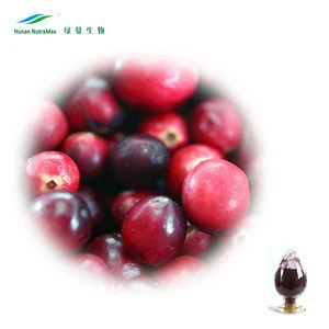 100% Natural Cranberry Extract Powder Proanthocyanidins 10%-50% with Best Quality