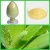 Import 100% Pure natural plant extract aloe vera extract/aloe vera gel powder for skin and health care from China