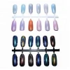 12 colors  Peacock  pigment Chrome holographic powder Packed in Jar/Bag  nail polish/nail decoration