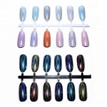 12 colors  Peacock  pigment Chrome holographic powder Packed in Jar/Bag  nail polish/nail decoration