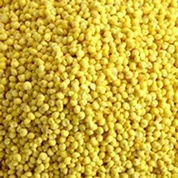 2017 hot sale high quality yellow millet in husk glutinous