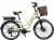 Import 2020 Electric bike lithium battery power ,supply urban lady basket  250W 36V cargo, e bike electric scooter bike city bike from China