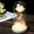 Import 2020 valentine gifts high quality Eternal rose preserved flowers in glass dome with wood base from China