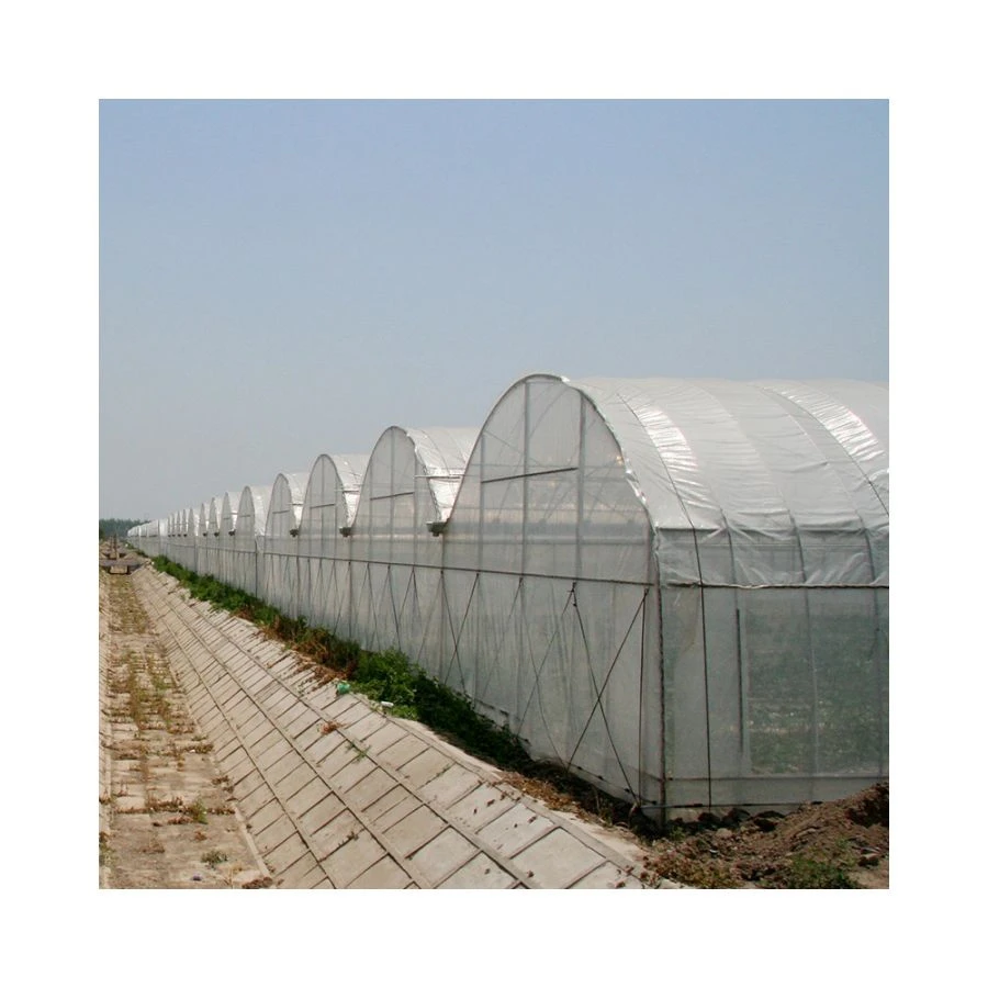2021 Large PE Can Be Customized Single-Layer New Greenhouse Plastic Film Agriculture