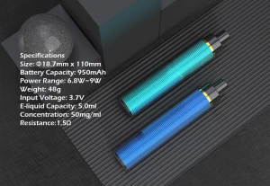 2021 Top Sell E-Cigarette Disposable Vaporizer with Fruity E Liquid Flavors Electronic Cigarettes Disposable Pod Vape
