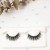 Import 2022 New Wholesale Clear Band Plant Fiber Lashes Eco Friendly Synthetic Lashes from China
