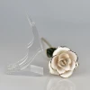 24K Gold Plated White Rose Flower Wedding Guests Souvenirs With Stand