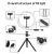 Import 26CM10 inch RGB colorful fill light Makeup Photographic Lighting LED Selfie Ring Light with Tripod Stand from China