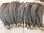Import 30-35 inch dyed zebra pheasant feathers from China