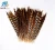 Import 35-40cm Natural Reeves Pheasant Feathers plumas de faisan from China
