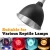Import 5.5 8.5 Inch Reptile Light Aluminum Reflector Dome Reflection Cover Lamp Light Fixture Deep Dome Reptile from China