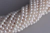 6-6.5mm Round Shape White Colour Natural Freshwater Loose Pearl Strand with Less Blemishes, 16"