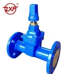 6 inch water crane cap DIN3352F5 gate valve manufacture philippines
