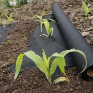 Agricultural Nonwoven Fabric Weed Control