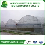 Agricultural Plastic film Greenhouse
