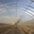 Import Agricultural Tunnel Greenhouses For Tomatoes from China