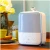 Import Air conditioning appliances mini diffuser home air humidifier from Japan
