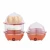 Import Amazon choice boiled eggs plastic steamer repaid egg cooker 6 eggs from China
