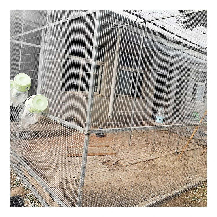 Animal breeding pigeonry chicken farm bird house Hot-dip galvanized low-carbon steel welded wire mesh panel