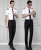 Import anti-wrinkle non iron breathable short sleeve uniform shirts for pilot from China