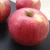 Import Apple Quality Fresh Apples all types from South Africa