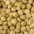 Import Australian Macadamia Kernel all sizes Superior quality from Australia