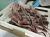 Import Best Quality Frozen Giant Squid Tentacles from Spain