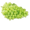 Best quality green Grapes