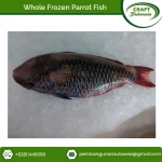 Best Seller of Cheap Whole Frozen Parrot Fish Seafood