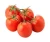 Import BIG Fresh Tomatoes,FRESH ORGANIC TOMATO and Fresh Red Tomato,Fresh from Philippines