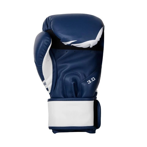 Boxing Gloves Dropshipping Baby Bag 18 Oz 20 Oz Boxing Gloves Bn Boxing Gear