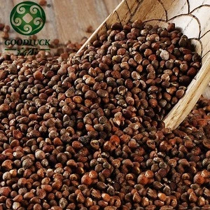Brown Perilla Seeds(Deulkkae ) for Oil Press