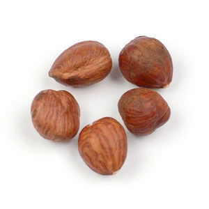 Bulk Hazelnut available at cheap prices(Baked,Roasted,Dried,Fried)