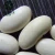 Import Bulk Lima Beans Big Size White Kidney Bean for Sale from China
