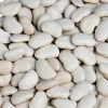 Bulk white kidney beans from Egypt for sale