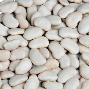 Bulk white kidney beans from Egypt for sale