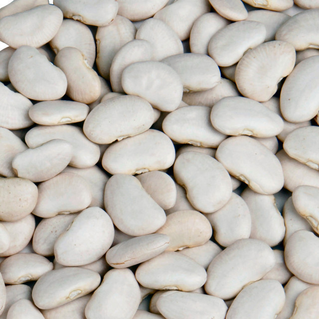 Buy Bulk White Kidney Beans From Egypt For Sale from Alpha Trading