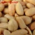 Import CANNED ROASTED SALTED PEANUTS from China