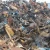 Import Cast Iron Scrap / Cast Iron Rotor Scrap /Drums and Rotors Cast Iron Scrap, for Foundry Industry from South Africa