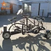 Celebrate conference bike luxury tricycle for sale for team tour
