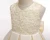 Import Champagne New girl dress skirt European and American high-end princess skirt birthday solid-colored pomskirt baby evening dress from China