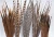 Import cheap dyed pheasant feathers for carnival from China